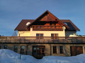 Apartmán Dolní Rokytnice 496